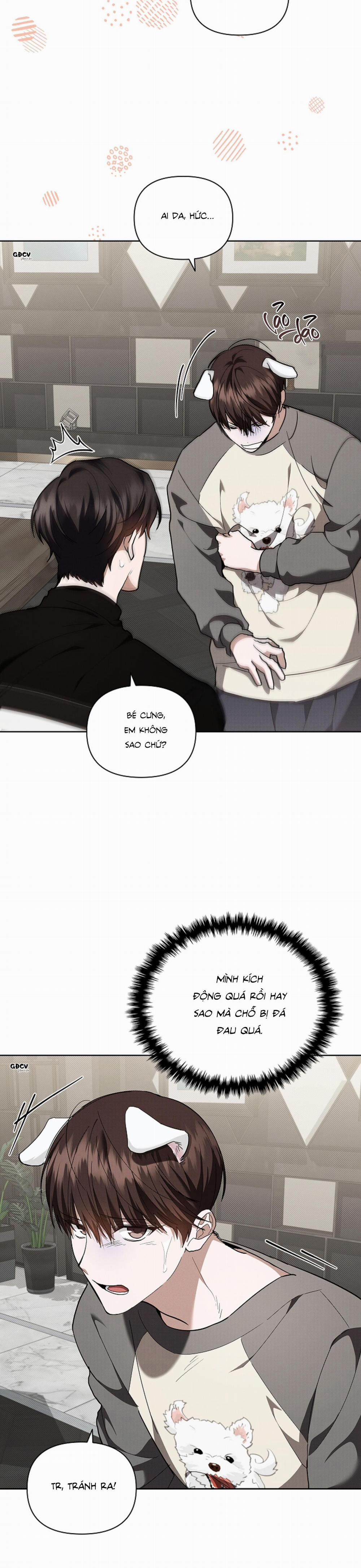 ĐỪNG CHẠM VÀO CÚN CON CỦA TÔI 17 trang 13