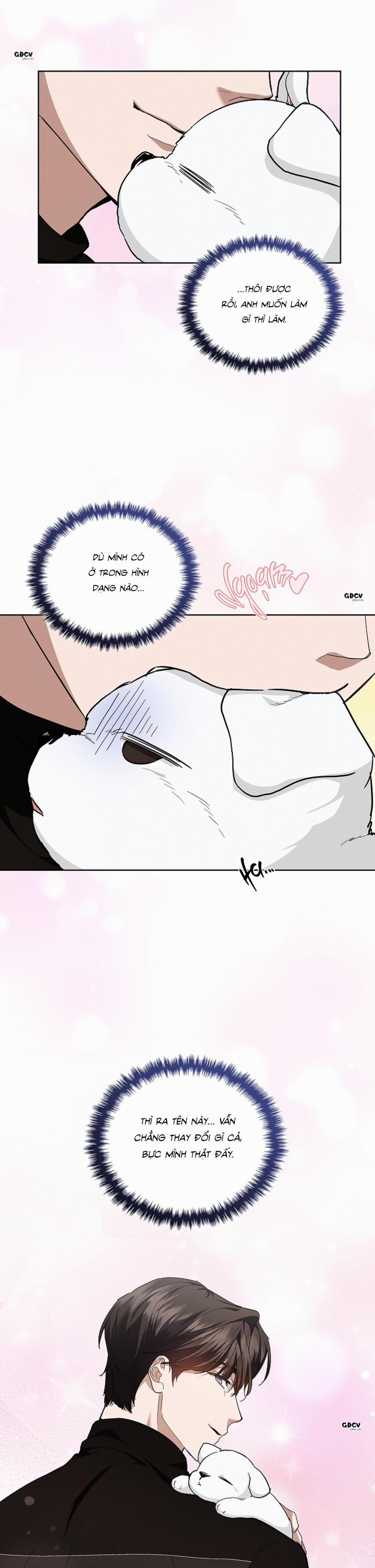 ĐỪNG CHẠM VÀO CÚN CON CỦA TÔI 17 trang 16