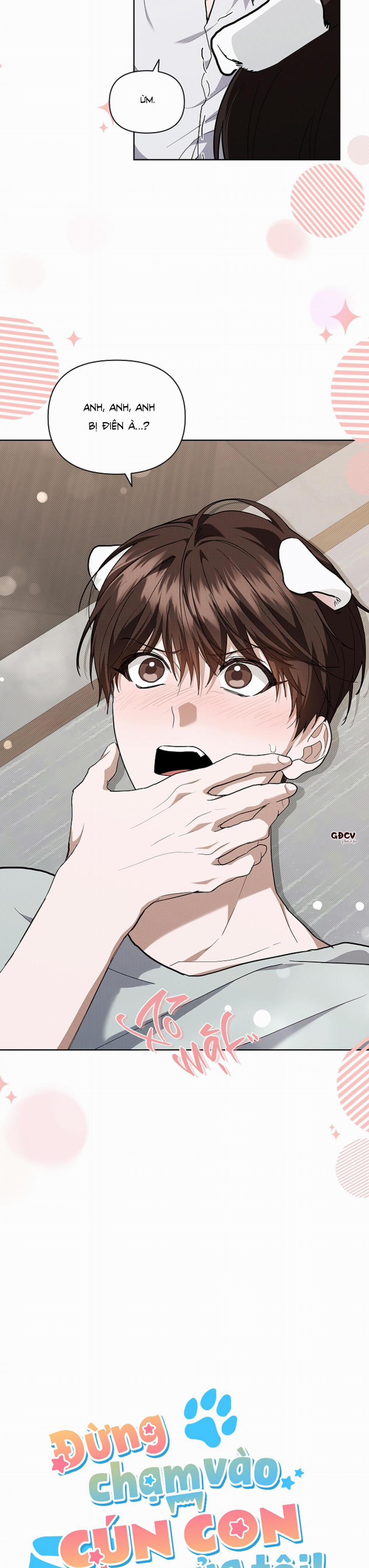 ĐỪNG CHẠM VÀO CÚN CON CỦA TÔI 17 trang 2