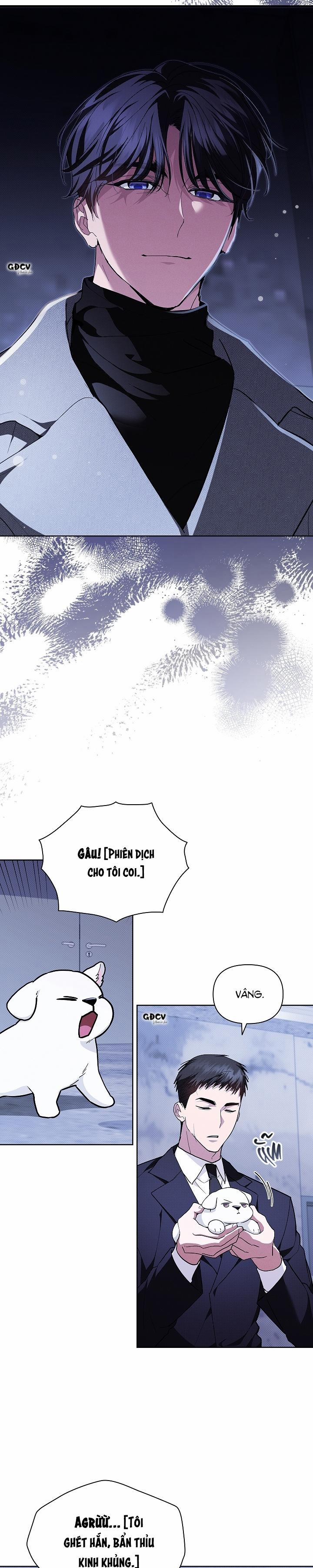 ĐỪNG CHẠM VÀO CÚN CON CỦA TÔI 18 trang 1