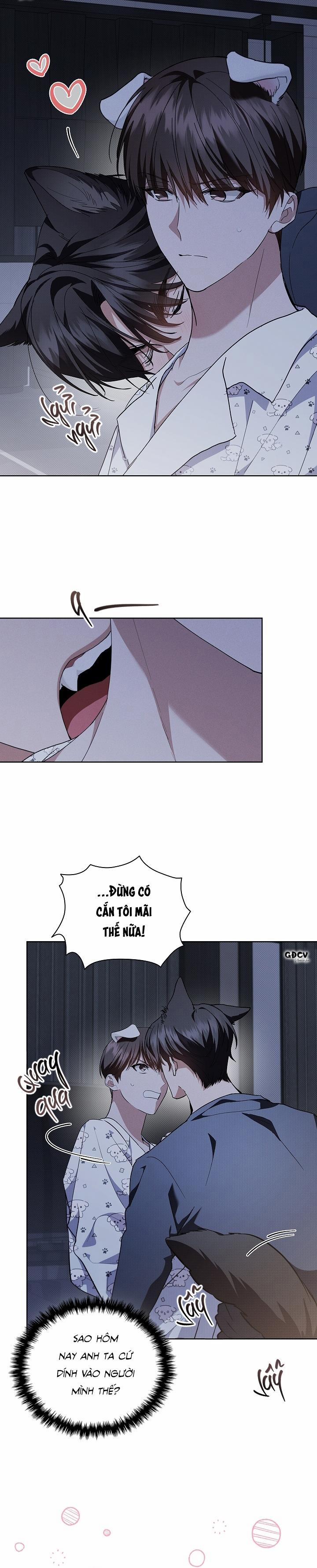 ĐỪNG CHẠM VÀO CÚN CON CỦA TÔI 18 trang 23