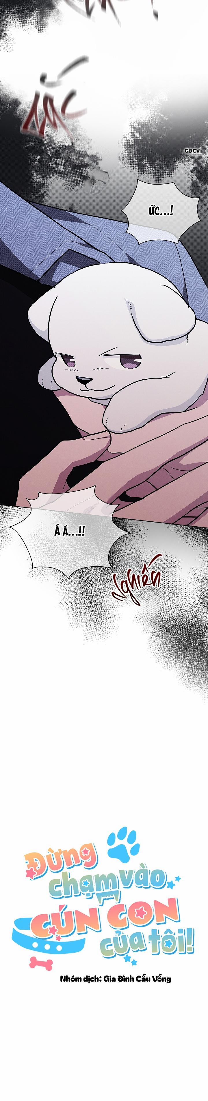 ĐỪNG CHẠM VÀO CÚN CON CỦA TÔI 18 trang 8