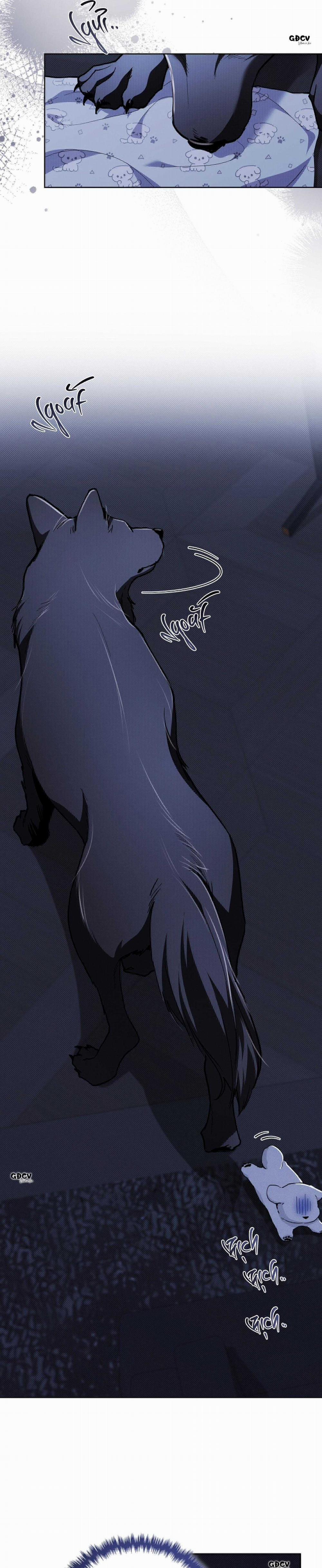 ĐỪNG CHẠM VÀO CÚN CON CỦA TÔI 19 trang 11