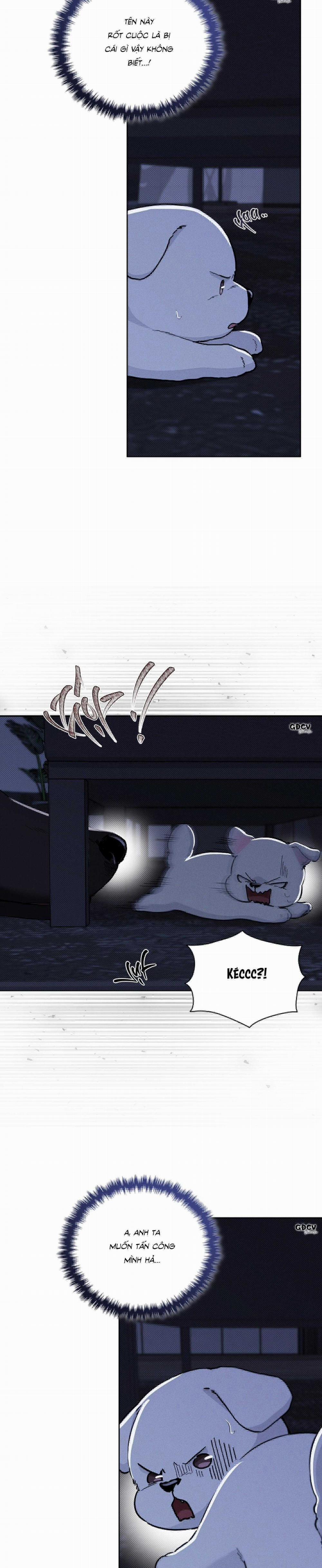 ĐỪNG CHẠM VÀO CÚN CON CỦA TÔI 19 trang 12