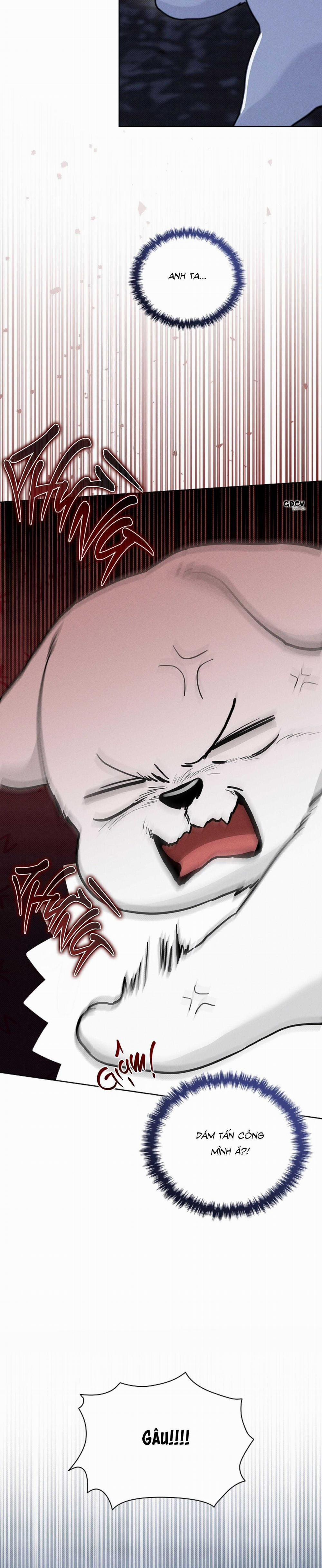 ĐỪNG CHẠM VÀO CÚN CON CỦA TÔI 19 trang 13