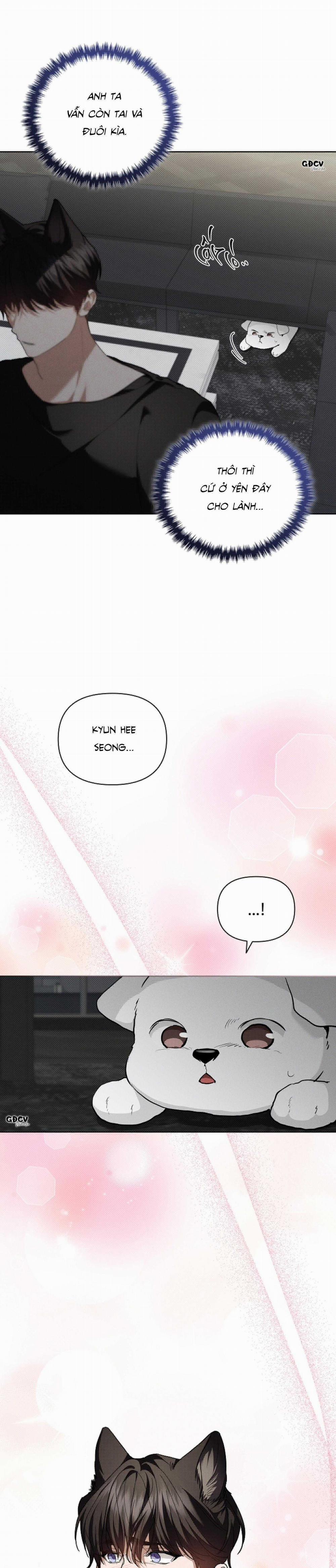 ĐỪNG CHẠM VÀO CÚN CON CỦA TÔI 19 trang 17