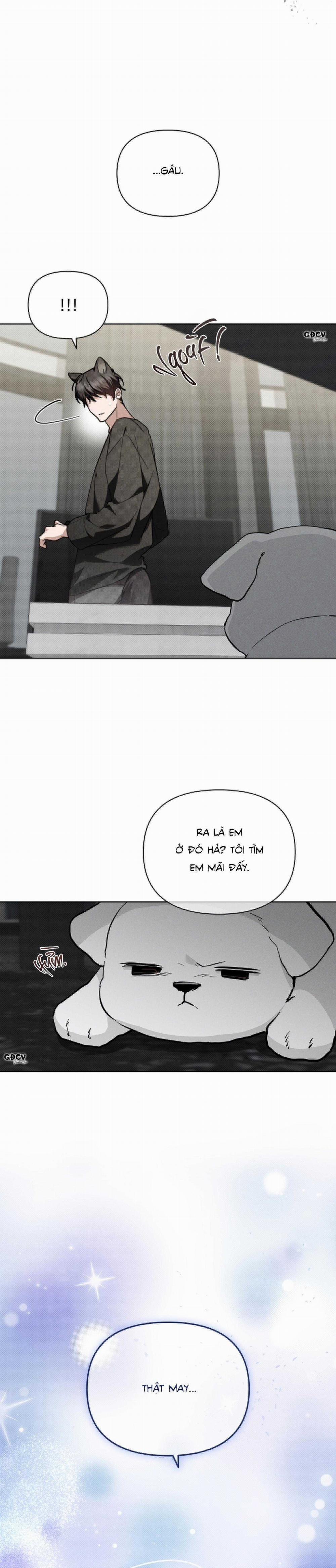 ĐỪNG CHẠM VÀO CÚN CON CỦA TÔI 19 trang 19