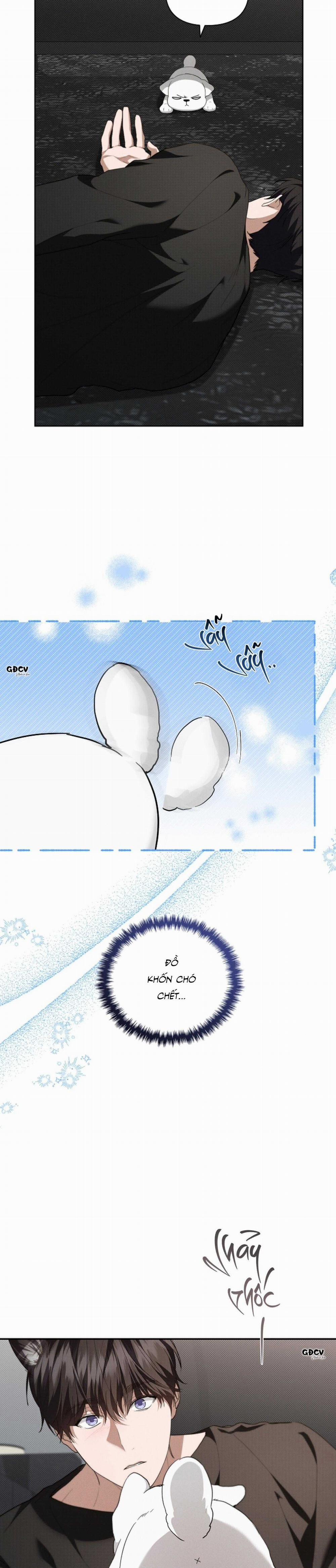 ĐỪNG CHẠM VÀO CÚN CON CỦA TÔI 19 trang 22