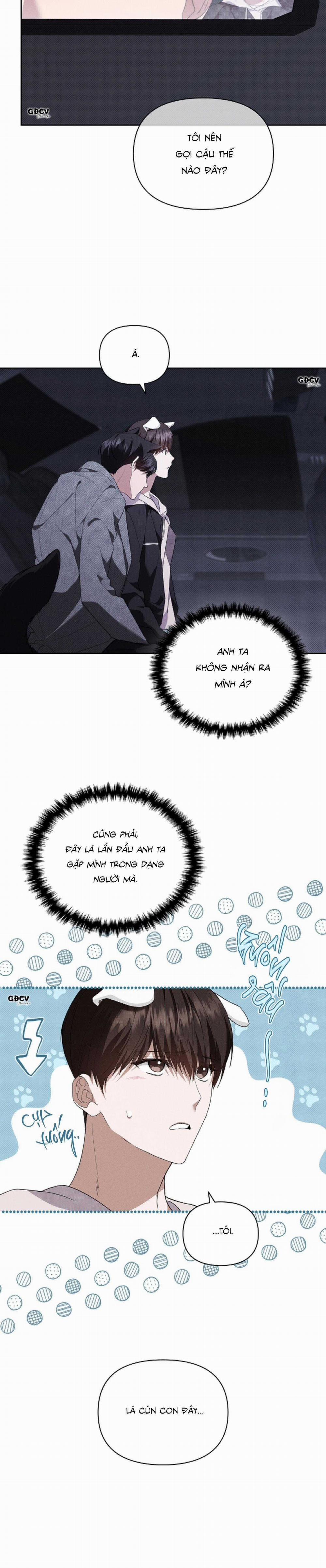 ĐỪNG CHẠM VÀO CÚN CON CỦA TÔI 19 trang 32