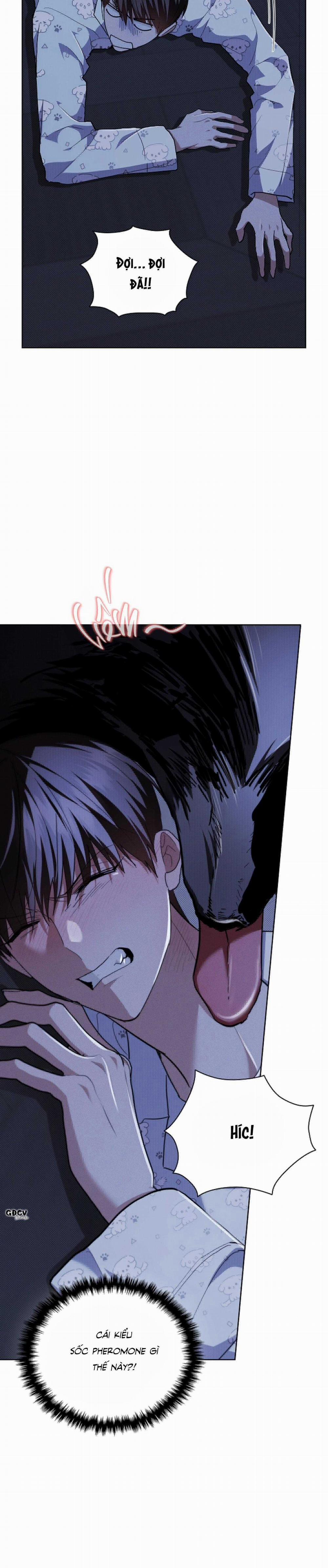 ĐỪNG CHẠM VÀO CÚN CON CỦA TÔI 19 trang 9