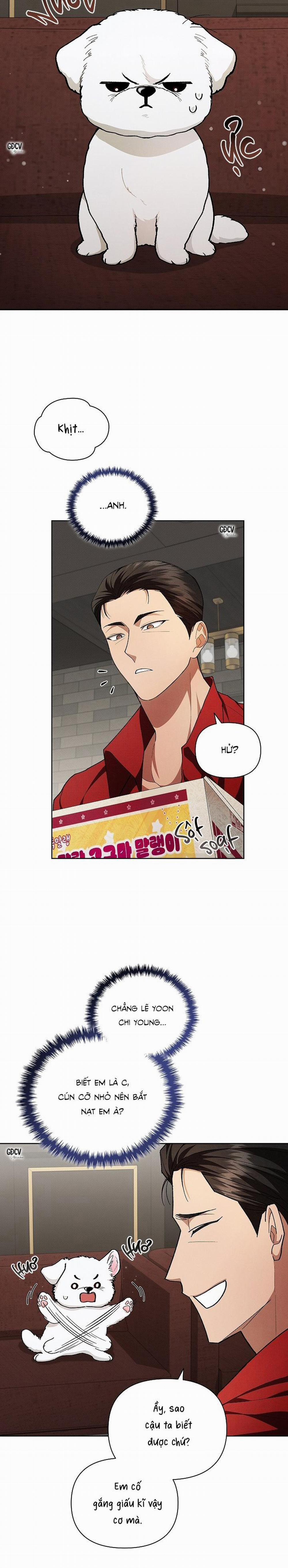ĐỪNG CHẠM VÀO CÚN CON CỦA TÔI 2 trang 4