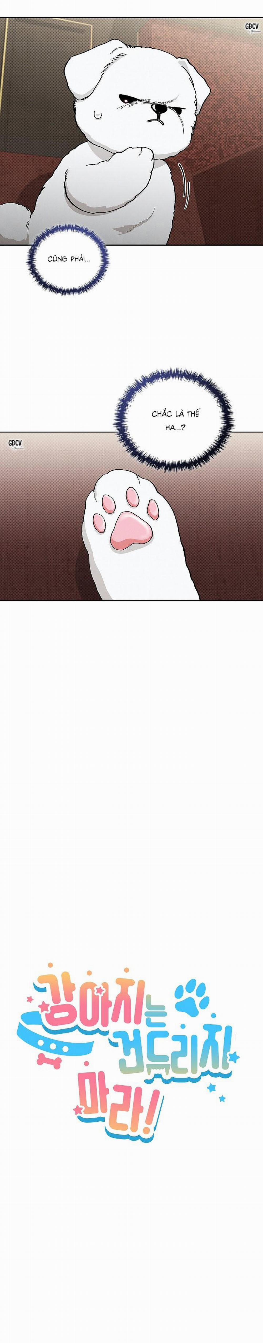 ĐỪNG CHẠM VÀO CÚN CON CỦA TÔI 2 trang 5