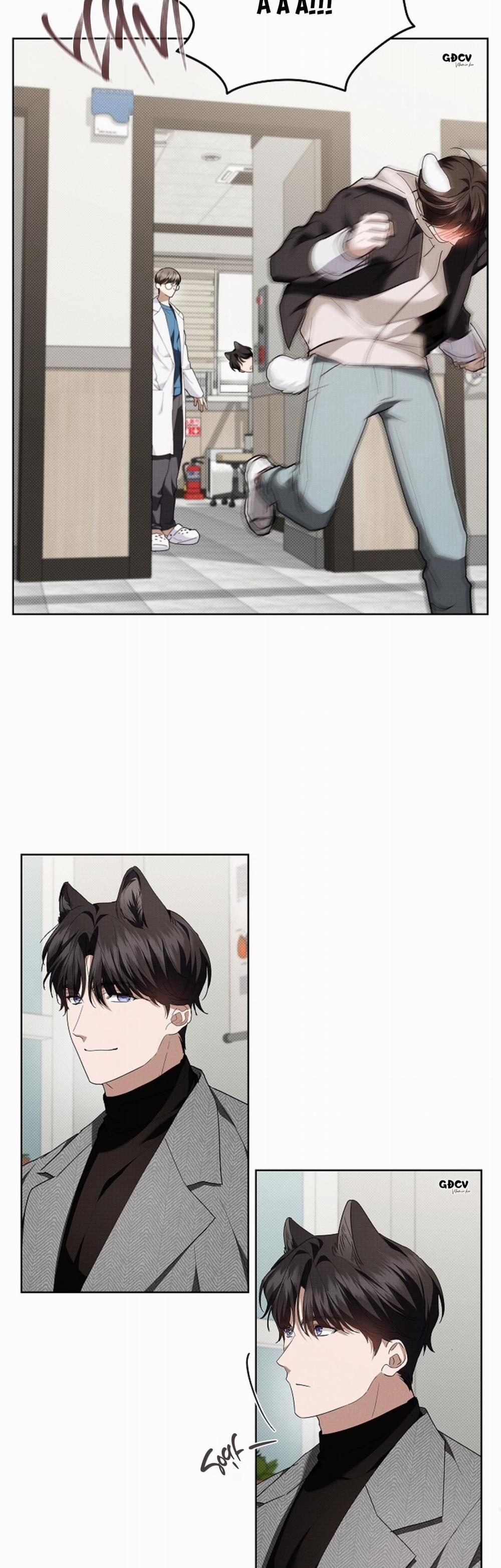 ĐỪNG CHẠM VÀO CÚN CON CỦA TÔI 20 trang 13