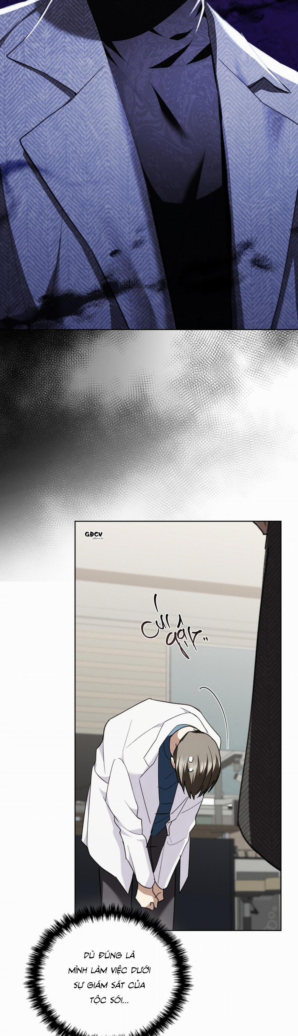 ĐỪNG CHẠM VÀO CÚN CON CỦA TÔI 20 trang 16