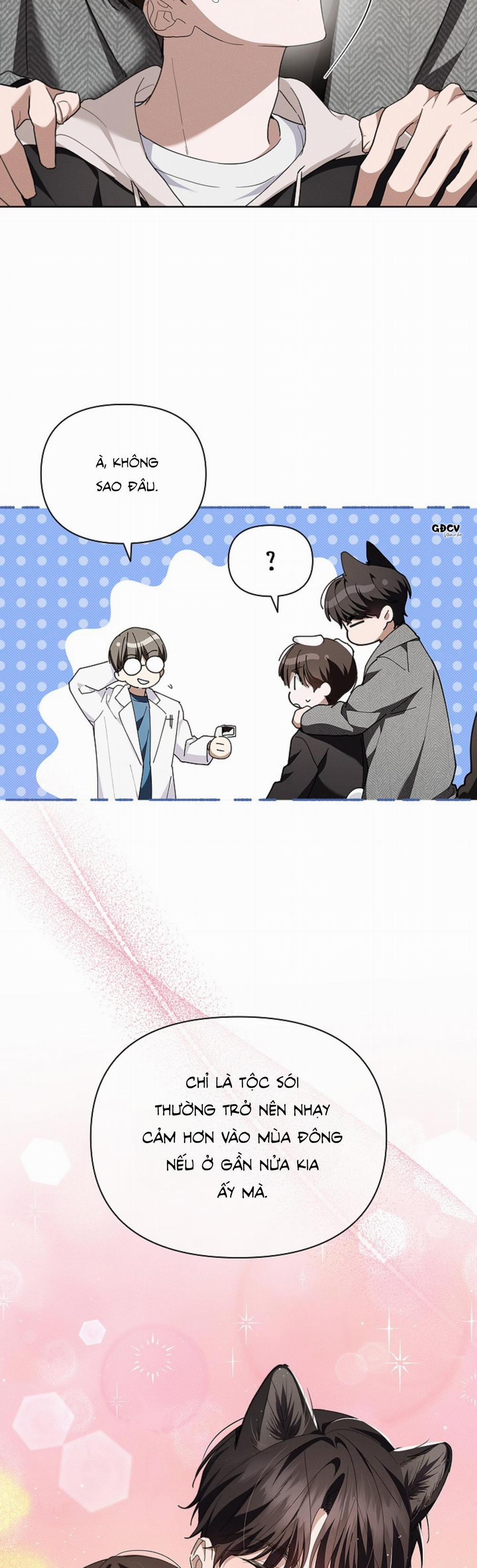 ĐỪNG CHẠM VÀO CÚN CON CỦA TÔI 20 trang 3