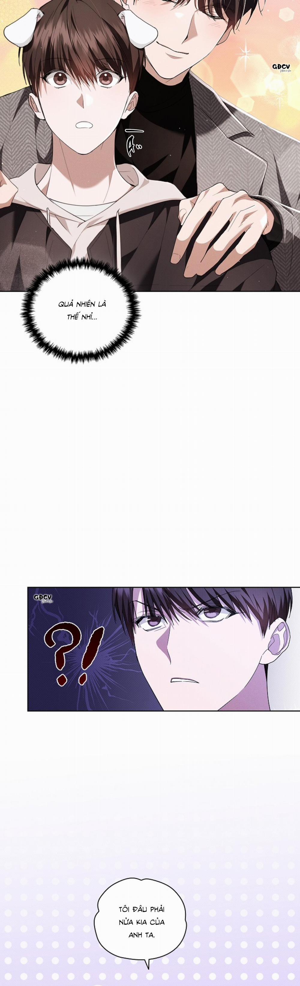 ĐỪNG CHẠM VÀO CÚN CON CỦA TÔI 20 trang 4