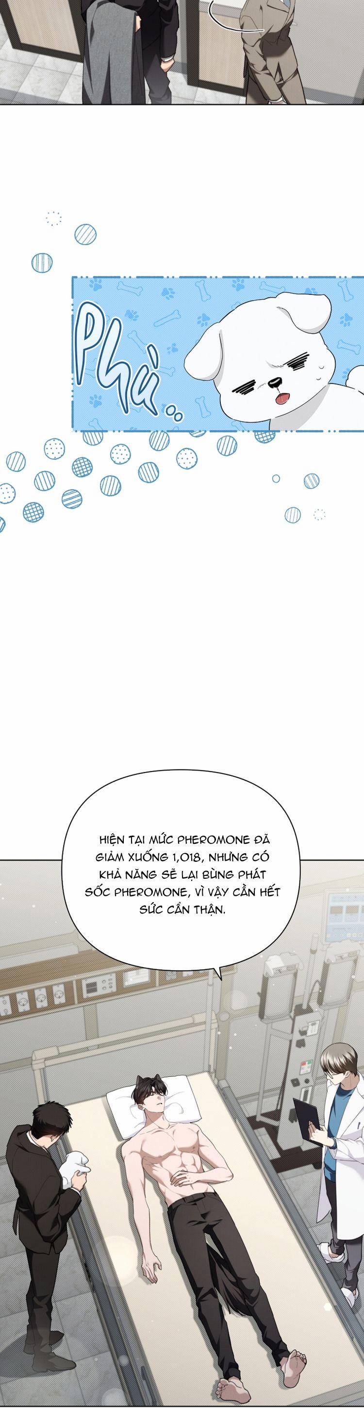 ĐỪNG CHẠM VÀO CÚN CON CỦA TÔI 21 trang 22