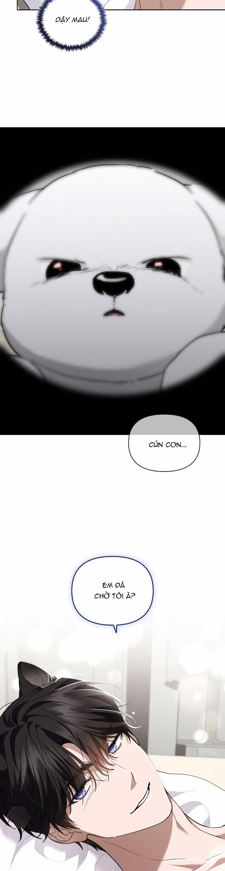 ĐỪNG CHẠM VÀO CÚN CON CỦA TÔI 21 trang 26