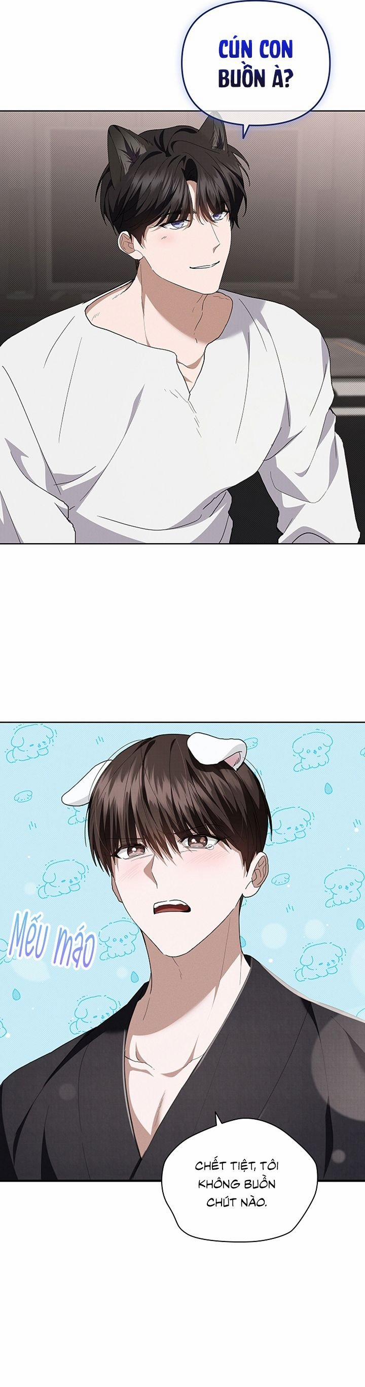 ĐỪNG CHẠM VÀO CÚN CON CỦA TÔI 22 trang 16