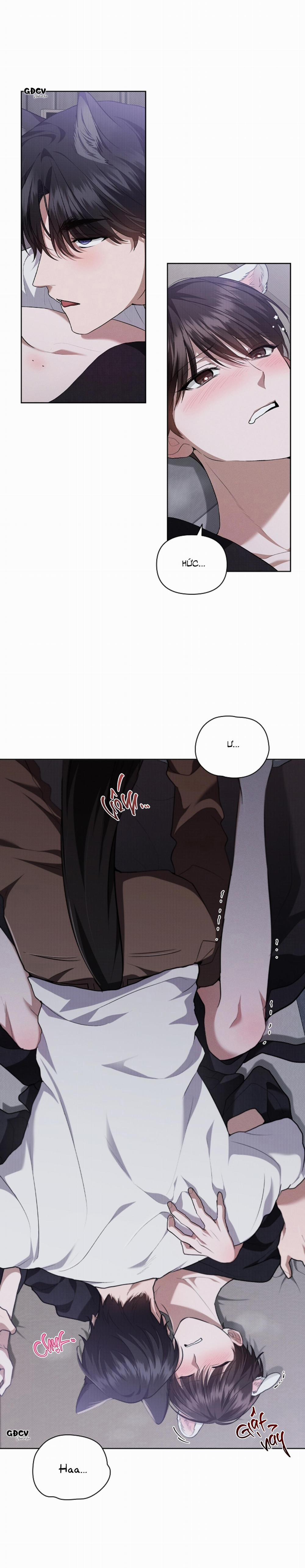 ĐỪNG CHẠM VÀO CÚN CON CỦA TÔI 23 trang 1