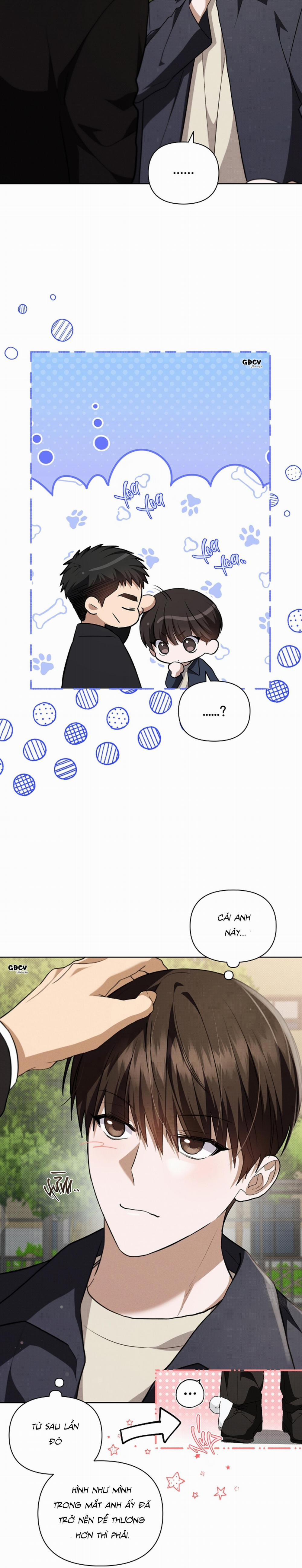 ĐỪNG CHẠM VÀO CÚN CON CỦA TÔI 23 trang 14
