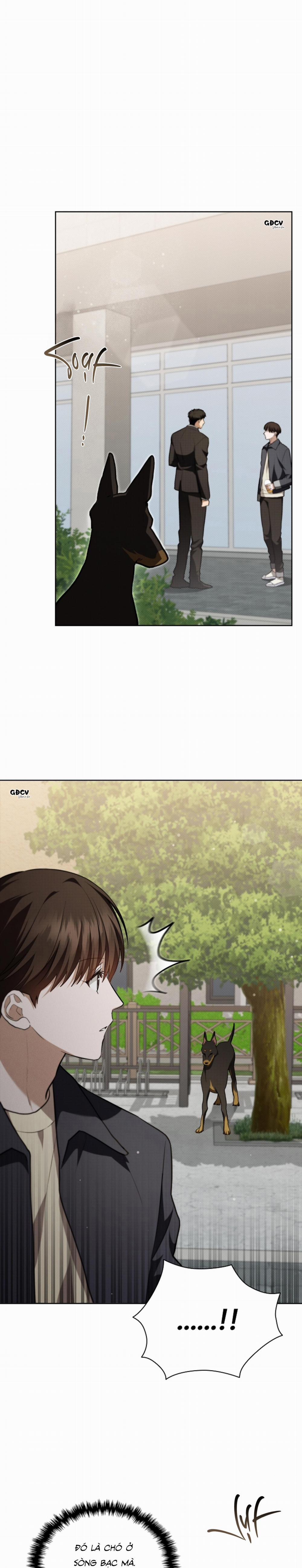 ĐỪNG CHẠM VÀO CÚN CON CỦA TÔI 23 trang 15