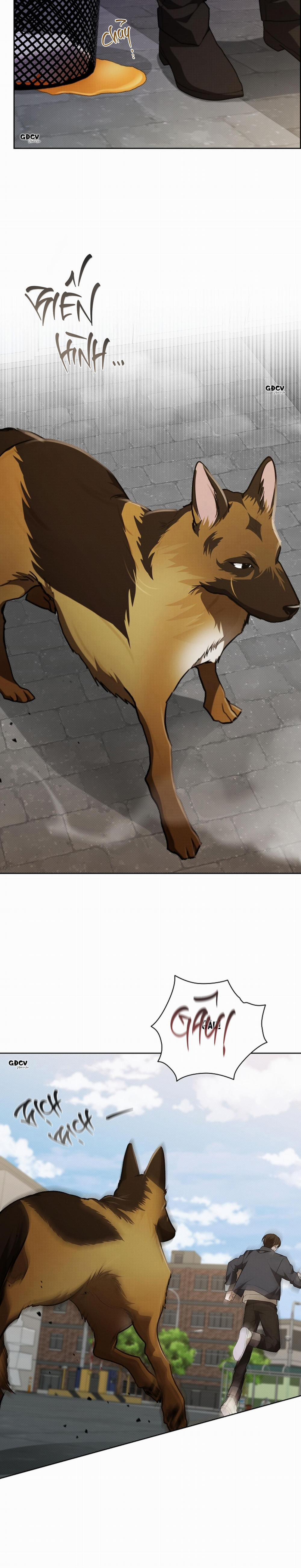 ĐỪNG CHẠM VÀO CÚN CON CỦA TÔI 23 trang 19