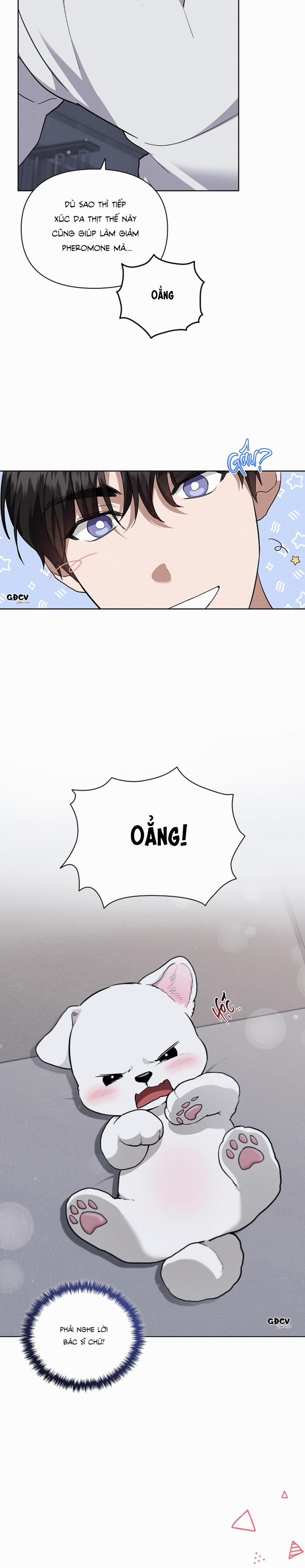 ĐỪNG CHẠM VÀO CÚN CON CỦA TÔI 23 trang 3