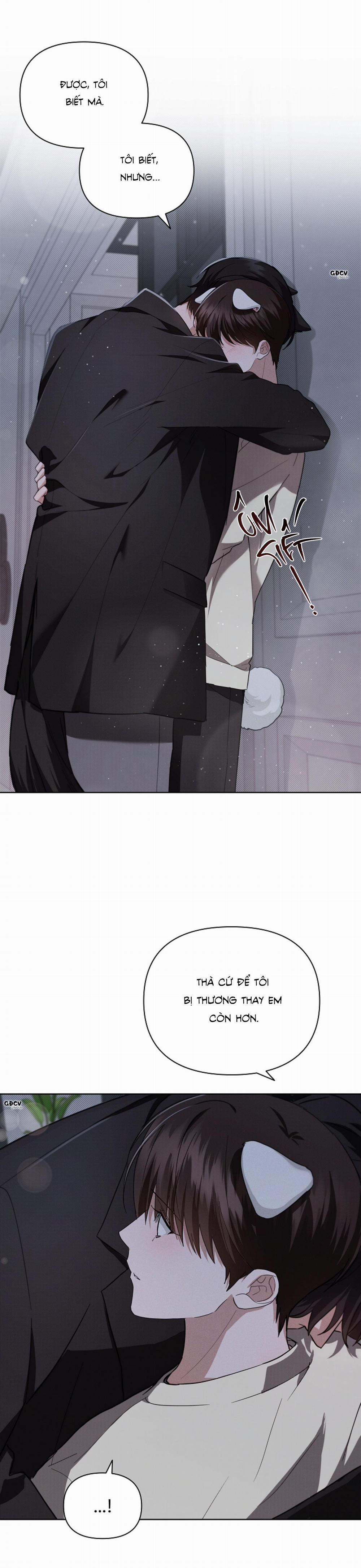 ĐỪNG CHẠM VÀO CÚN CON CỦA TÔI 24 0 trang 11