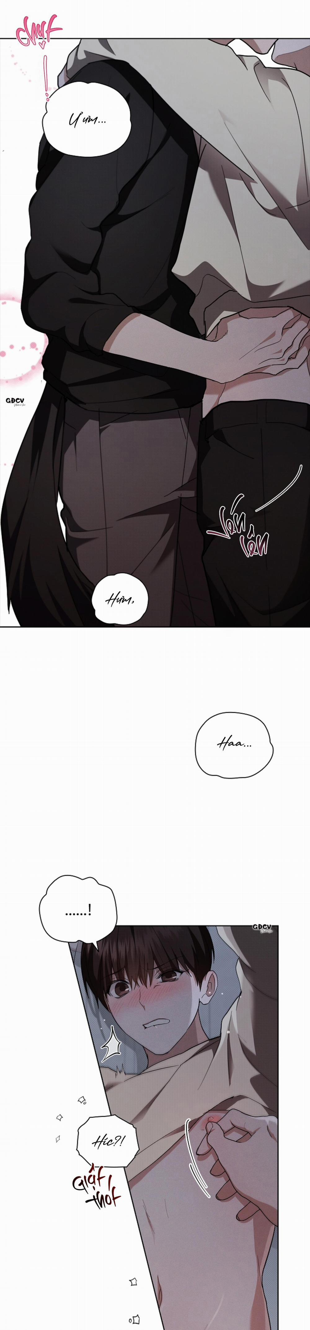 ĐỪNG CHẠM VÀO CÚN CON CỦA TÔI 24 0 trang 16