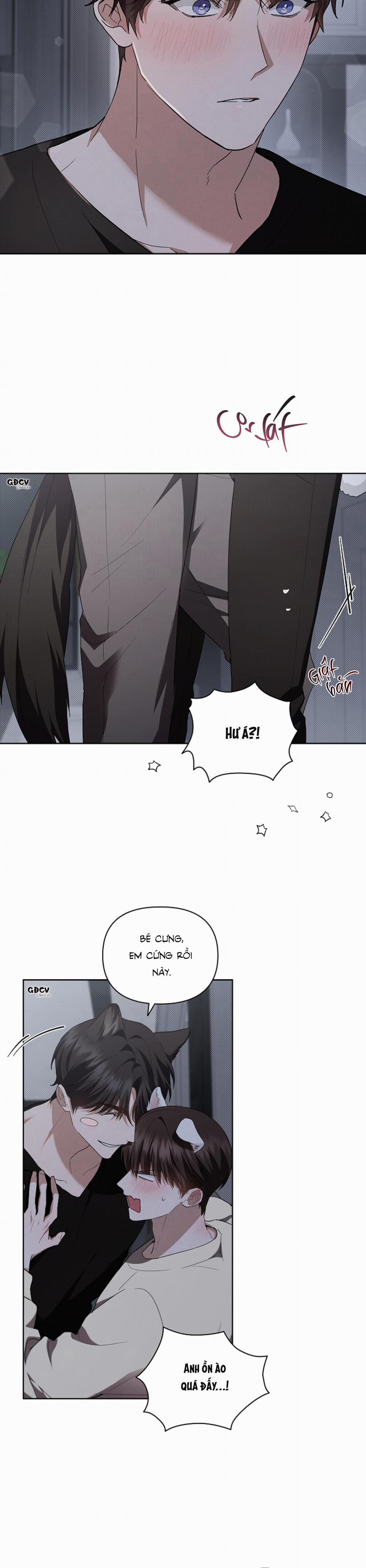 ĐỪNG CHẠM VÀO CÚN CON CỦA TÔI 24 0 trang 19