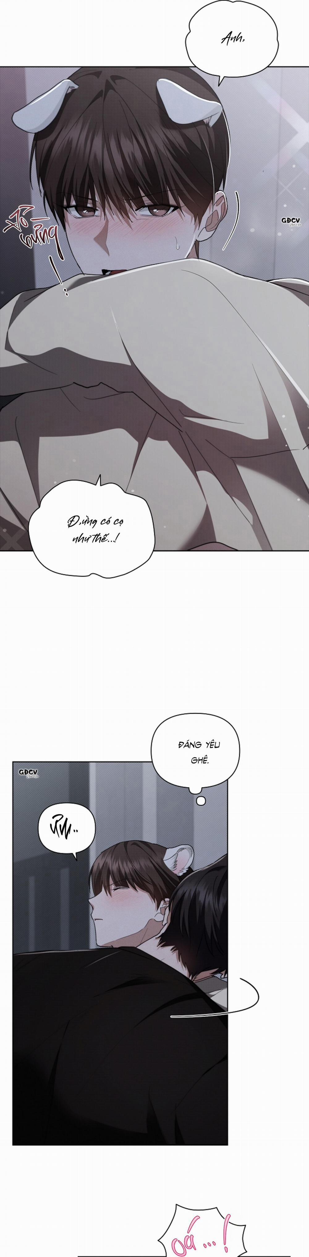 ĐỪNG CHẠM VÀO CÚN CON CỦA TÔI 24 0 trang 20