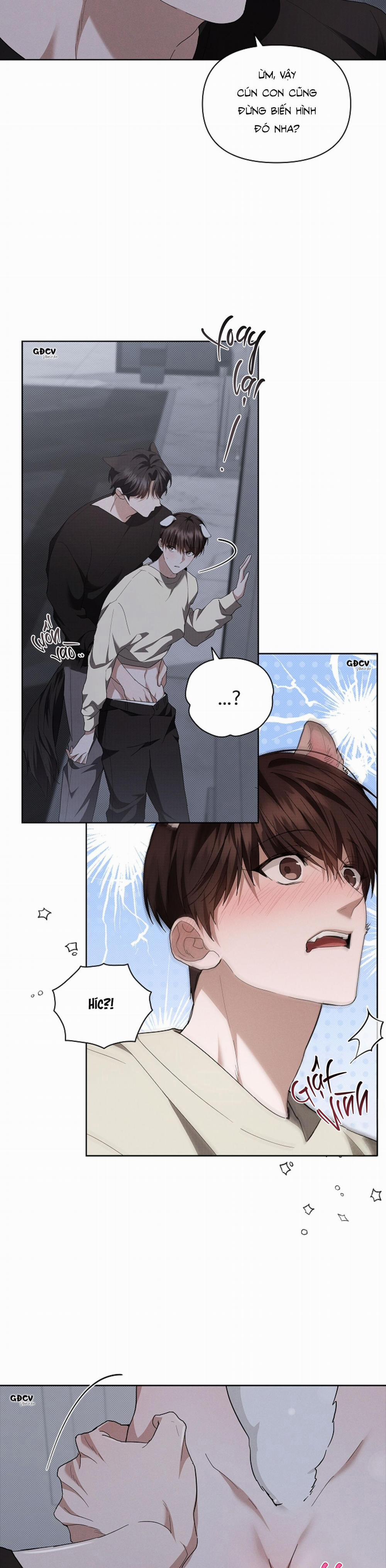 ĐỪNG CHẠM VÀO CÚN CON CỦA TÔI 24 0 trang 22