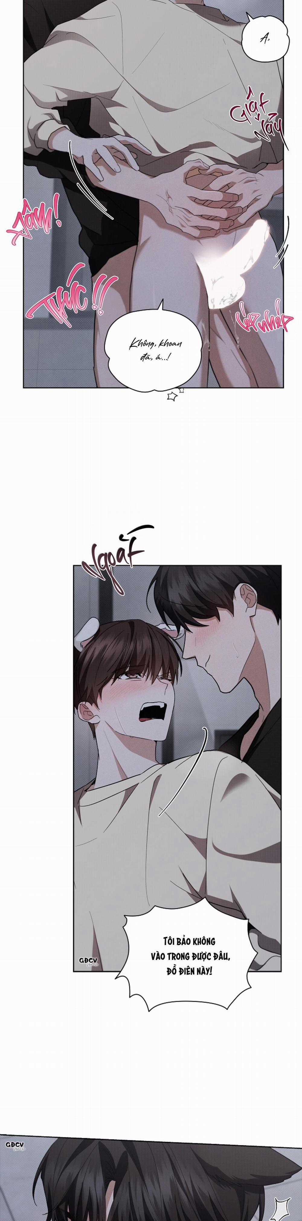 ĐỪNG CHẠM VÀO CÚN CON CỦA TÔI 24 0 trang 25