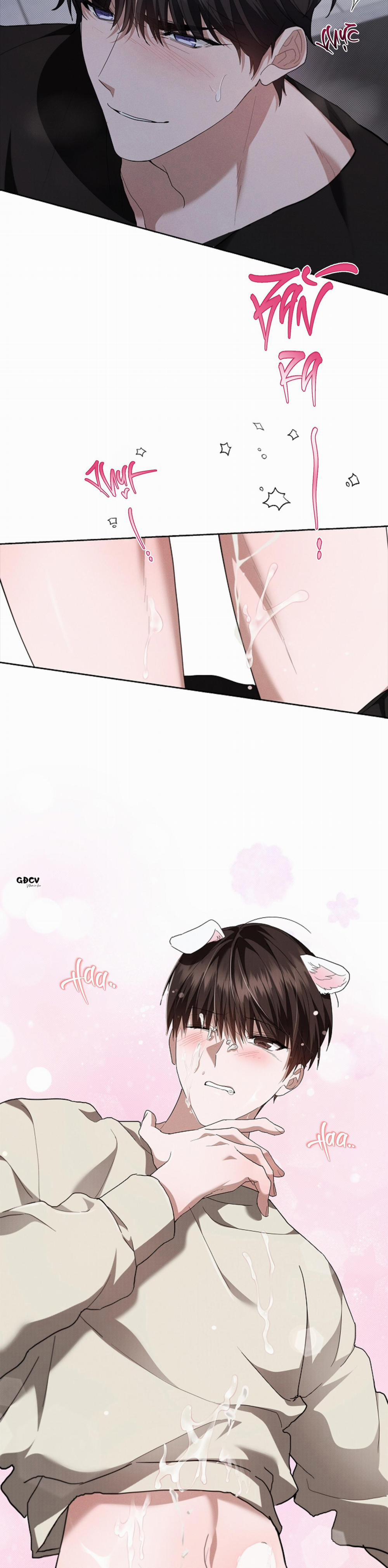 ĐỪNG CHẠM VÀO CÚN CON CỦA TÔI 24 0 trang 26