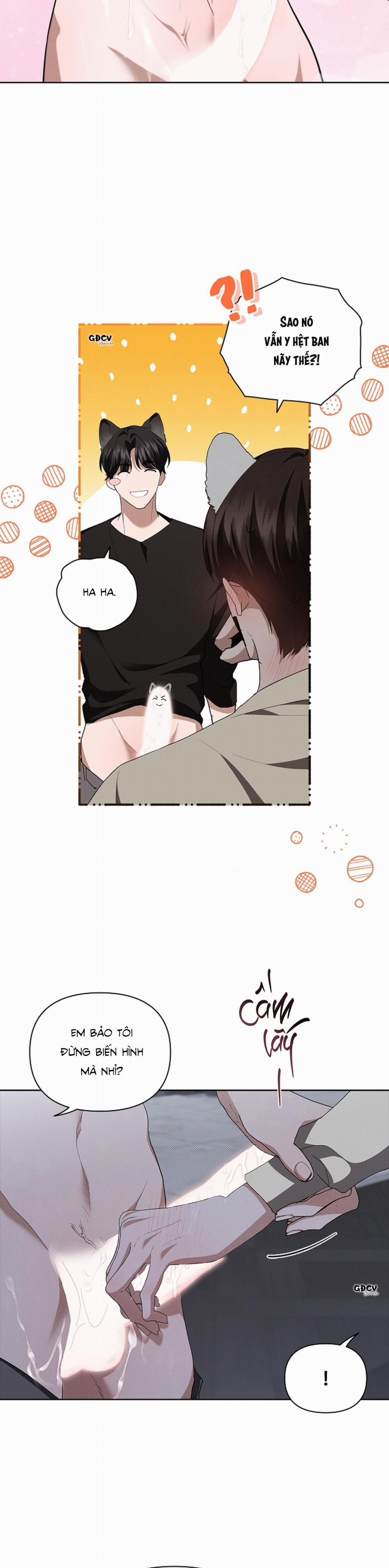 ĐỪNG CHẠM VÀO CÚN CON CỦA TÔI 24 0 trang 27