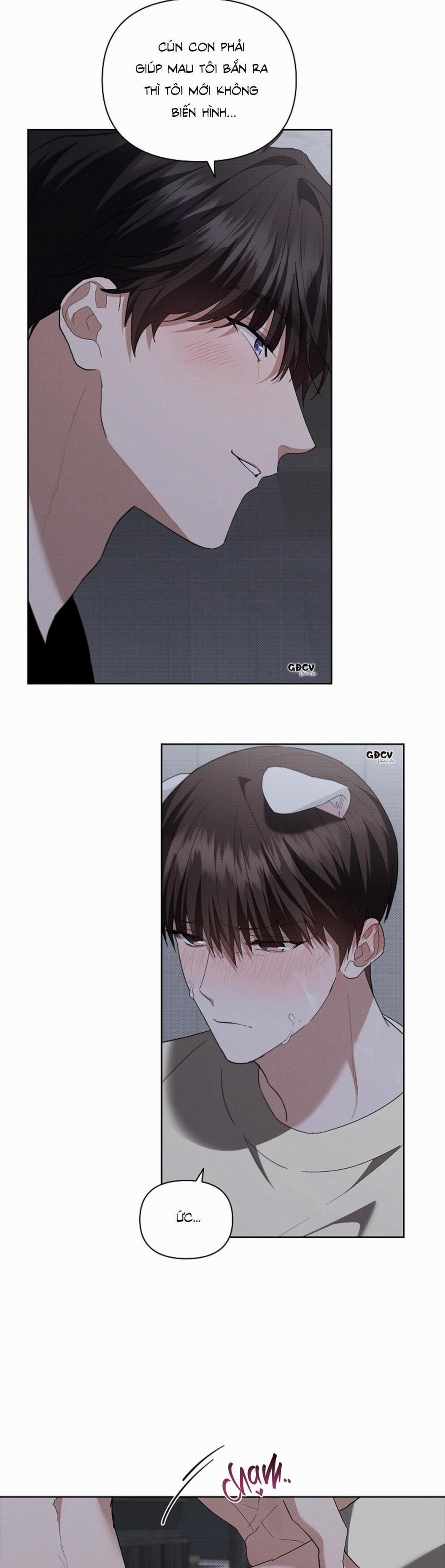 ĐỪNG CHẠM VÀO CÚN CON CỦA TÔI 24 0 trang 28