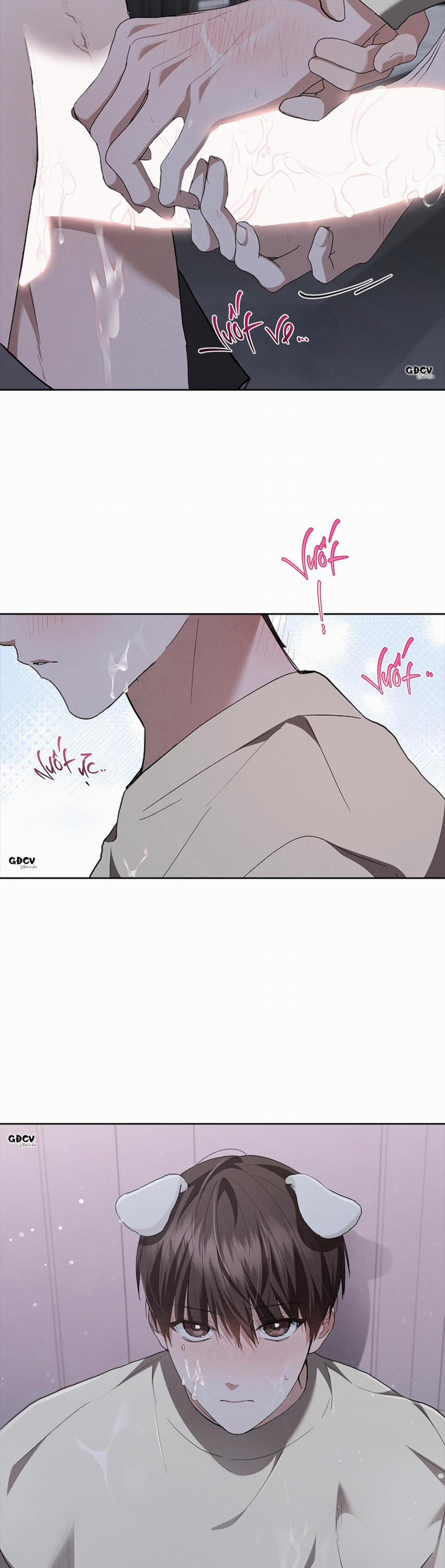 ĐỪNG CHẠM VÀO CÚN CON CỦA TÔI 24 0 trang 29