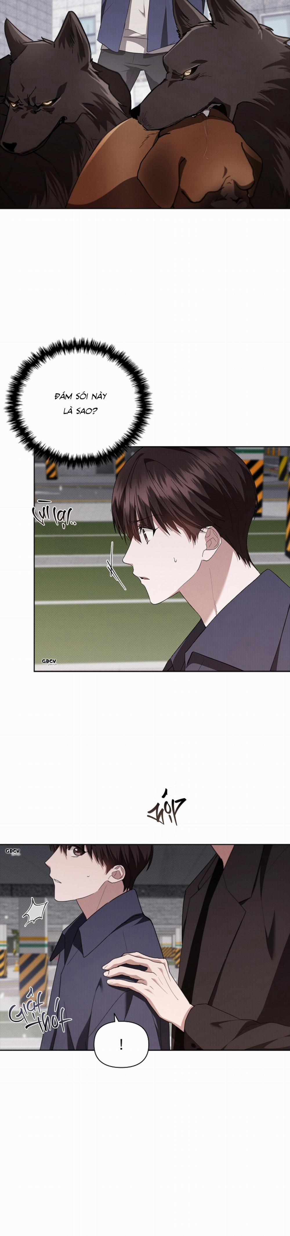 ĐỪNG CHẠM VÀO CÚN CON CỦA TÔI 24 0 trang 3
