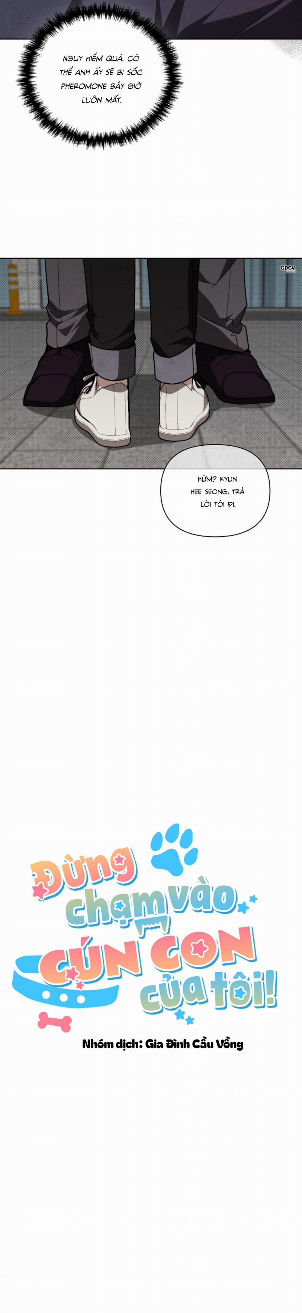 ĐỪNG CHẠM VÀO CÚN CON CỦA TÔI 24 0 trang 8