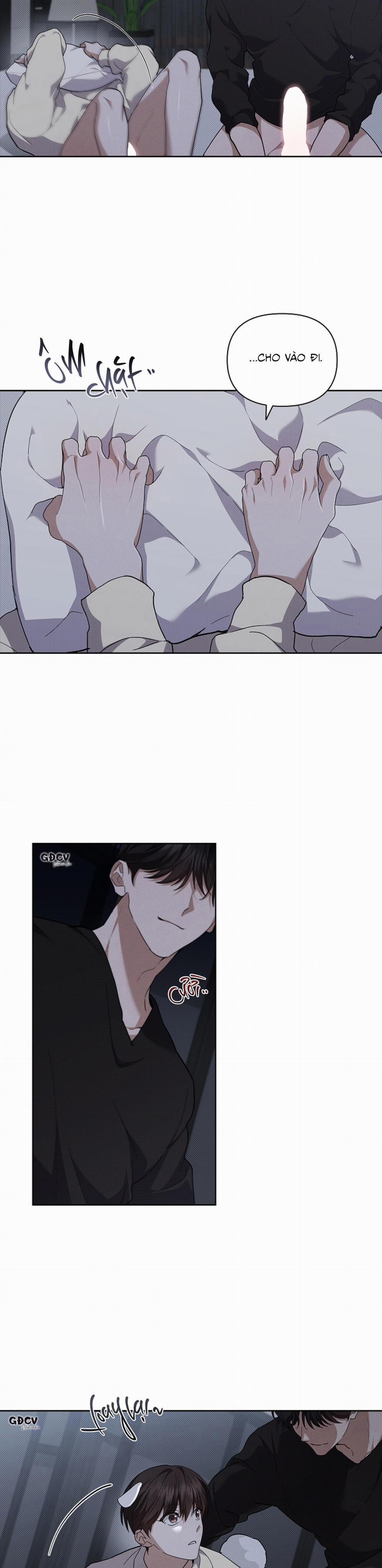 ĐỪNG CHẠM VÀO CÚN CON CỦA TÔI 25 18++ trang 12