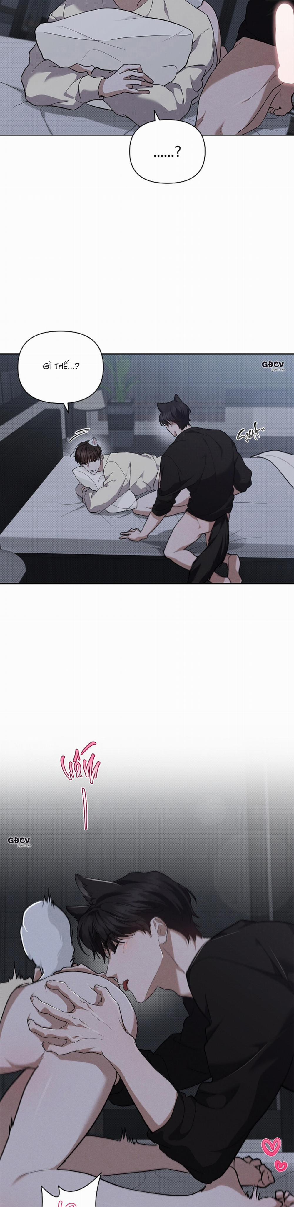 ĐỪNG CHẠM VÀO CÚN CON CỦA TÔI 25 18++ trang 13