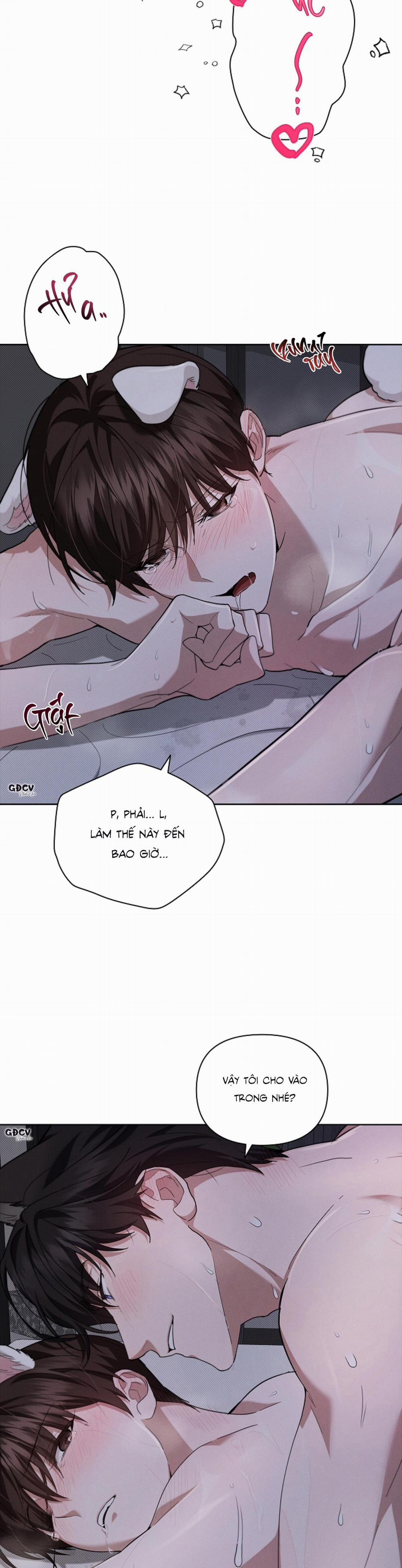 ĐỪNG CHẠM VÀO CÚN CON CỦA TÔI 25 18++ trang 21