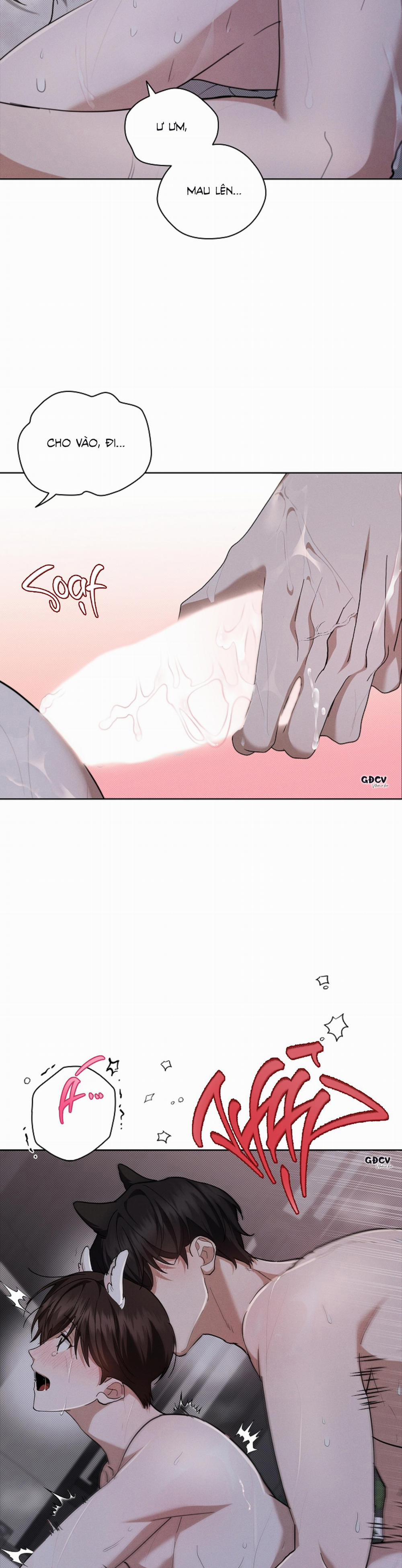 ĐỪNG CHẠM VÀO CÚN CON CỦA TÔI 25 18++ trang 22