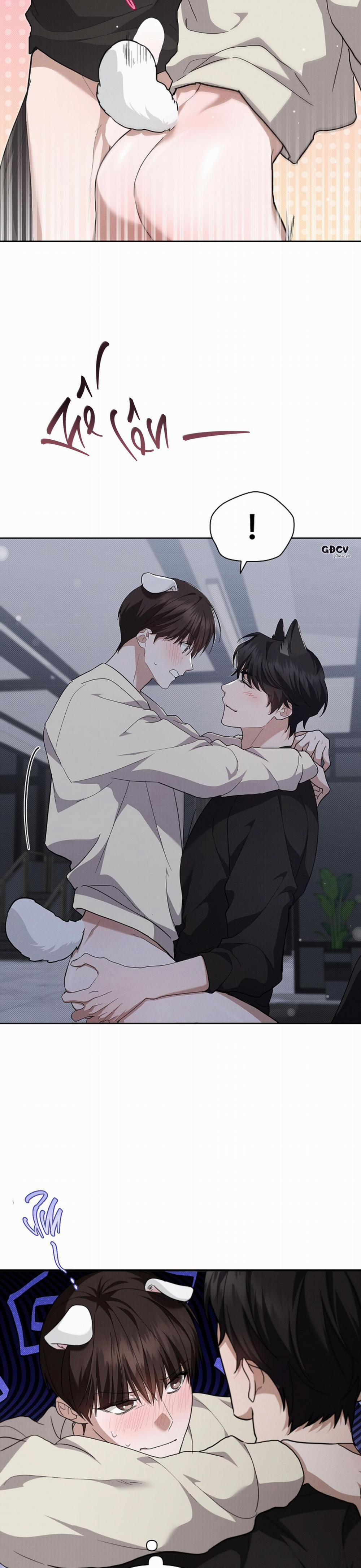 ĐỪNG CHẠM VÀO CÚN CON CỦA TÔI 25 18++ trang 5