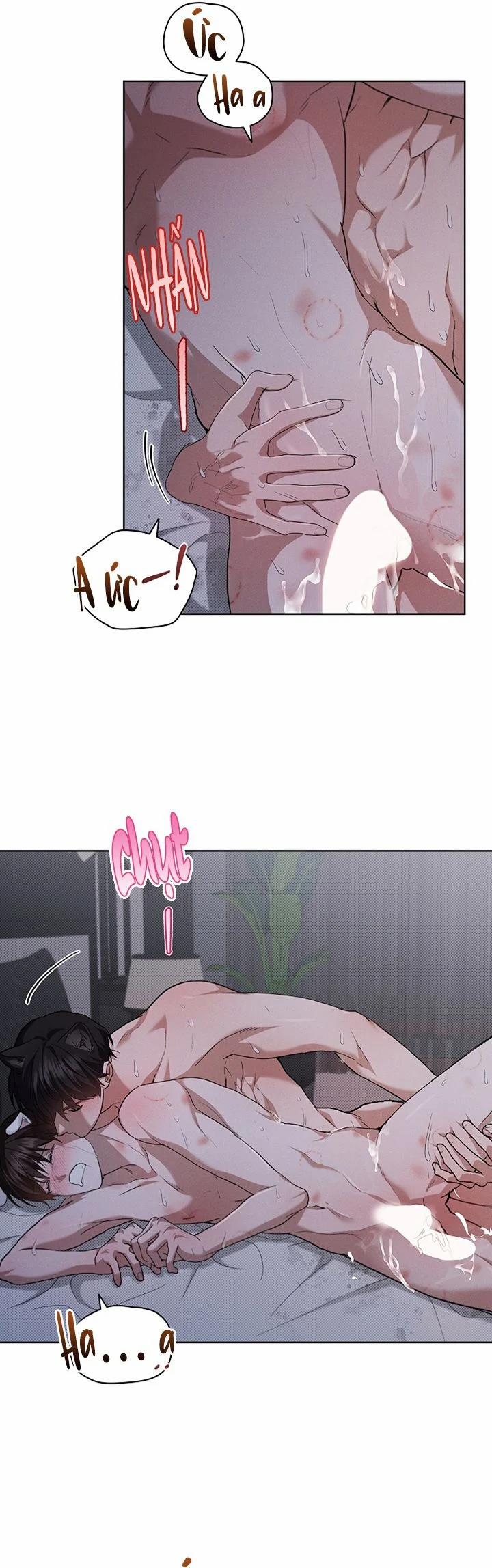 ĐỪNG CHẠM VÀO CÚN CON CỦA TÔI 26 trang 1