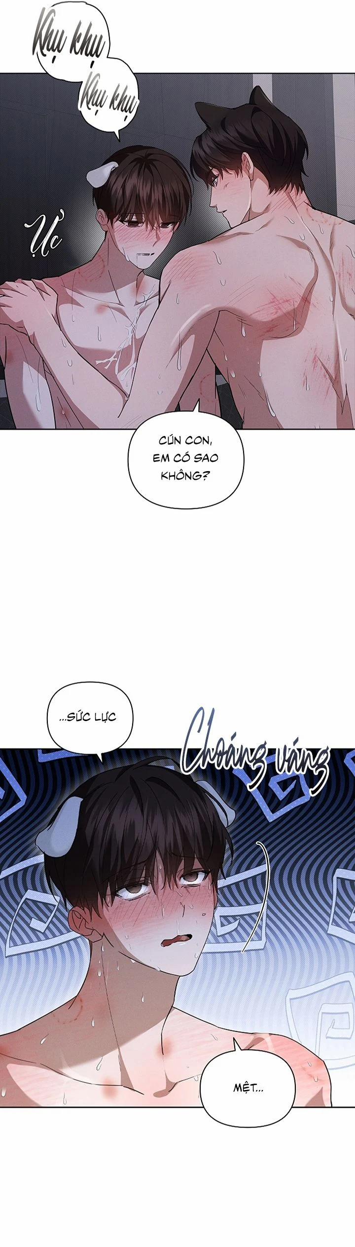 ĐỪNG CHẠM VÀO CÚN CON CỦA TÔI 26 trang 12