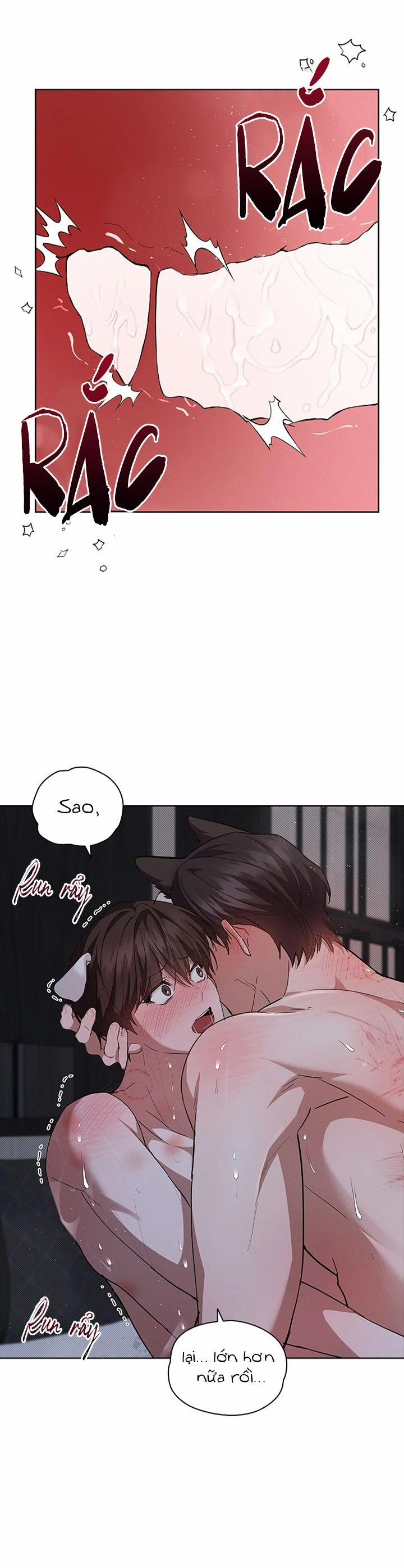 ĐỪNG CHẠM VÀO CÚN CON CỦA TÔI 26 trang 7
