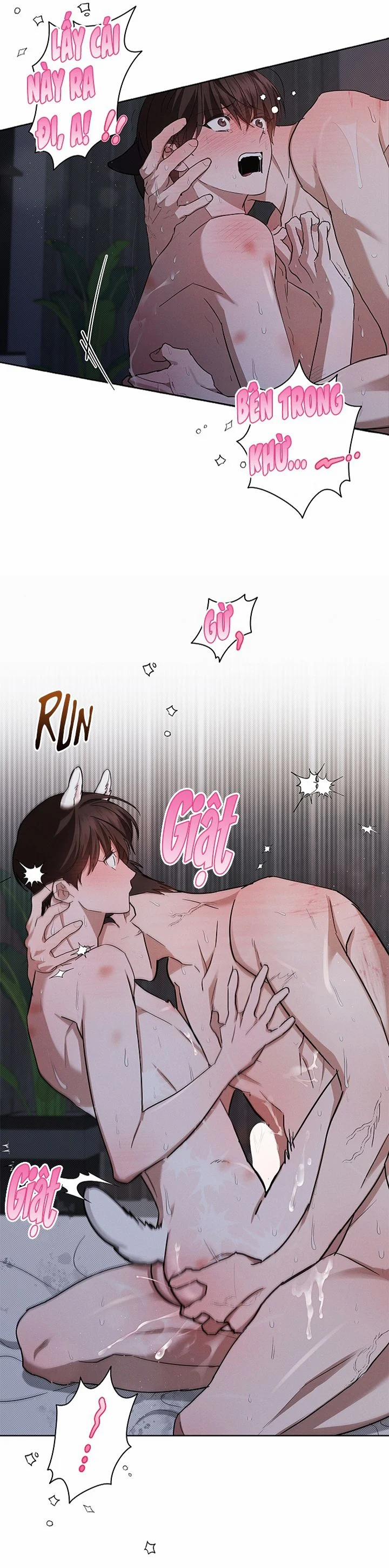 ĐỪNG CHẠM VÀO CÚN CON CỦA TÔI 26 trang 9