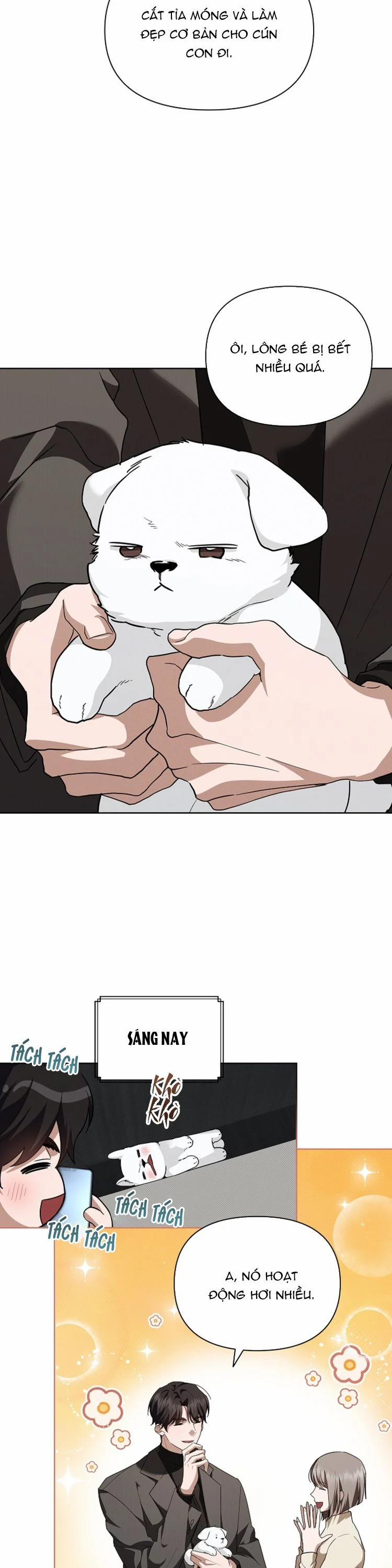 ĐỪNG CHẠM VÀO CÚN CON CỦA TÔI 28 trang 15